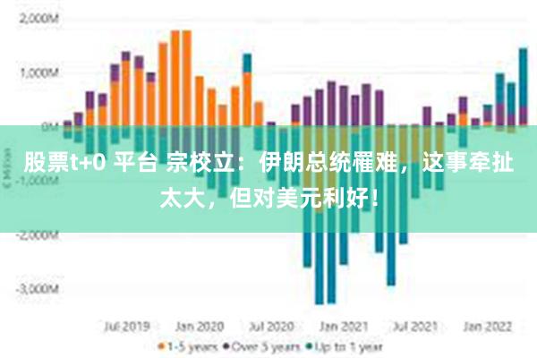 股票t+0 平台 宗校立：伊朗总统罹难，这事牵扯太大，但对美元利好！