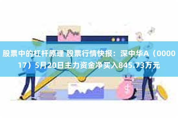 股票中的杠杆原理 股票行情快报：深中华A（000017）5月20日主力资金净买入845.73万元