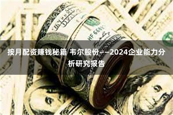 按月配资赚钱秘籍 韦尔股份——2024企业能力分析研究报告