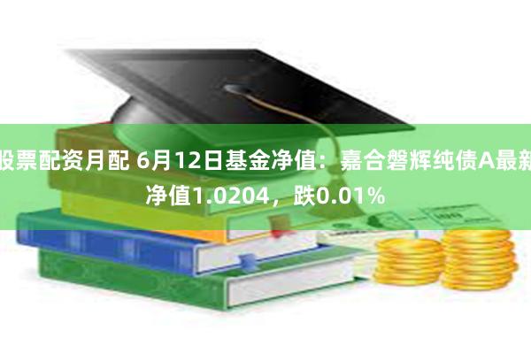 股票配资月配 6月12日基金净值：嘉合磐辉纯债A最新净值1.0204，跌0.01%