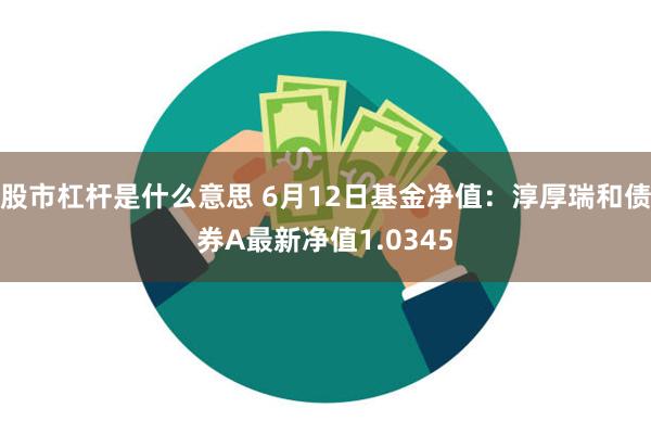 股市杠杆是什么意思 6月12日基金净值：淳厚瑞和债券A最新净值1.0345