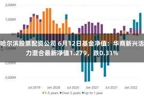 哈尔滨股票配资公司 6月12日基金净值：华商新兴活力混合最新净值1.279，跌0.31%