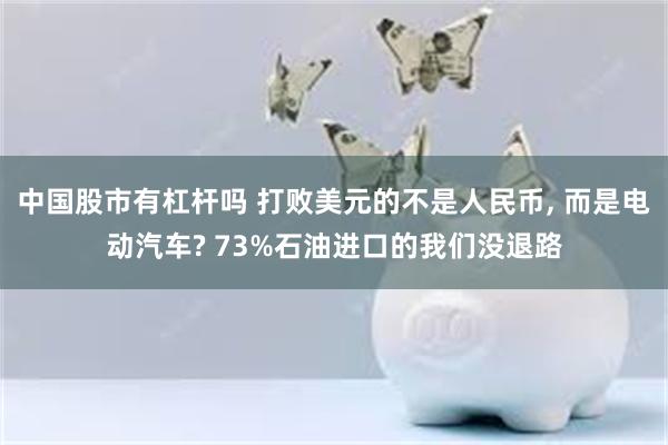 中国股市有杠杆吗 打败美元的不是人民币, 而是电动汽车? 73%石油进口的我们没退路