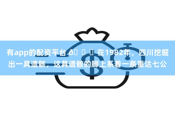 有app的配资平台 🌞在1982年，四川挖掘出一具遗骸，这具遗骸的脚上系着一条重达七公