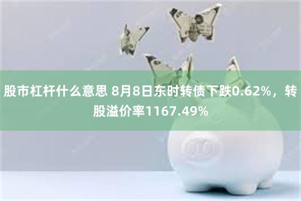 股市杠杆什么意思 8月8日东时转债下跌0.62%，转股溢价率1167.49%