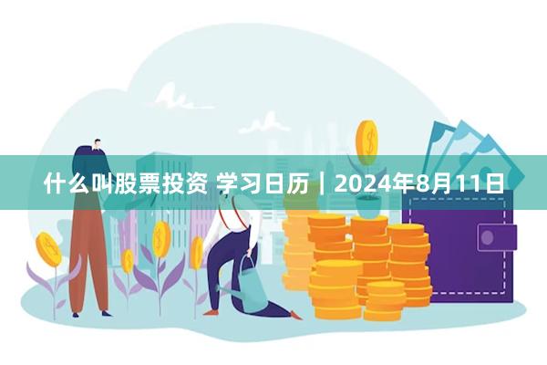 什么叫股票投资 学习日历｜2024年8月11日