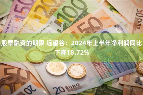 股票融资的期限 远望谷：2024年上半年净利润同比下降18.72%