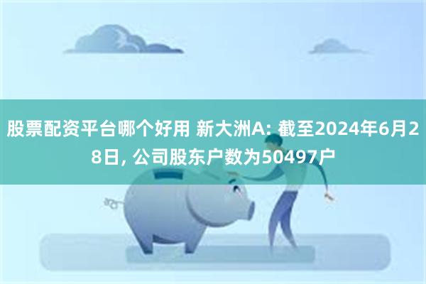 股票配资平台哪个好用 新大洲A: 截至2024年6月28日, 公司股东户数为50497户