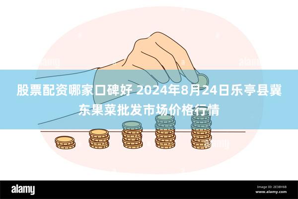 股票配资哪家口碑好 2024年8月24日乐亭县冀东果菜批发市场价格行情