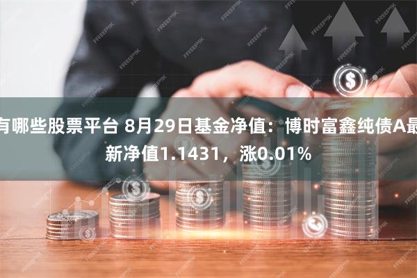 有哪些股票平台 8月29日基金净值：博时富鑫纯债A最新净值1.1431，涨0.01%