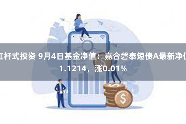 杠杆式投资 9月4日基金净值：嘉合磐泰短债A最新净值1.1214，涨0.01%