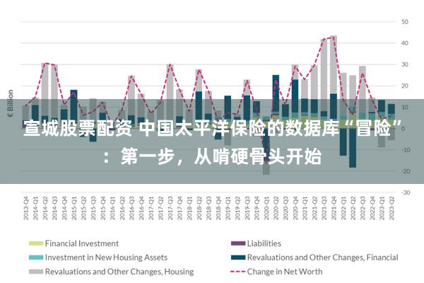 宣城股票配资 中国太平洋保险的数据库“冒险”：第一步，从啃硬骨头开始