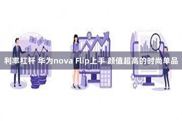 利率杠杆 华为nova Flip上手 颜值超高的时尚单品