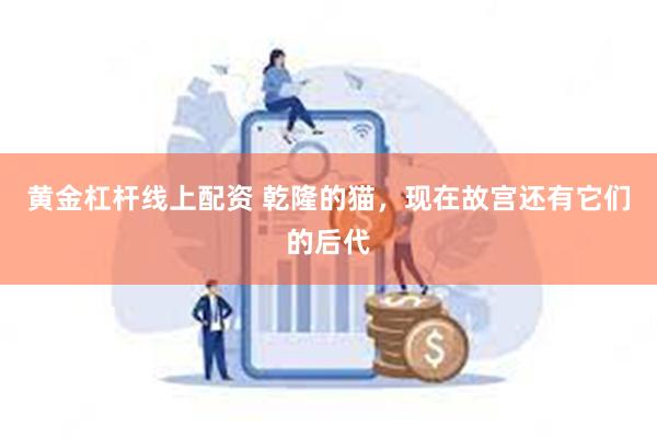 黄金杠杆线上配资 乾隆的猫，现在故宫还有它们的后代