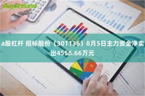 a股杠杆 招标股份（301136）8月5日主力资金净卖出4556.66万元