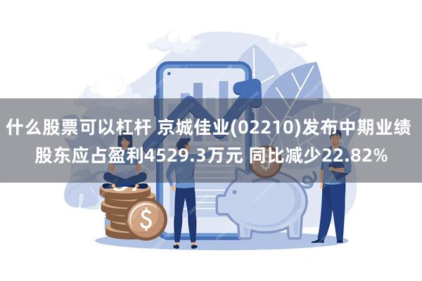 什么股票可以杠杆 京城佳业(02210)发布中期业绩 股东应占盈利4529.3万元 同比减少22.82%