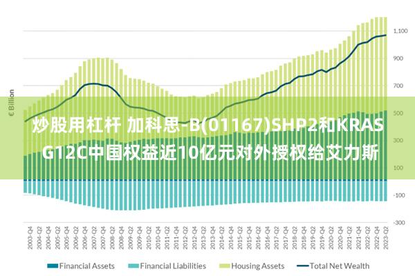 炒股用杠杆 加科思-B(01167)SHP2和KRAS G12C中国权益近10亿元对外授权给艾力斯