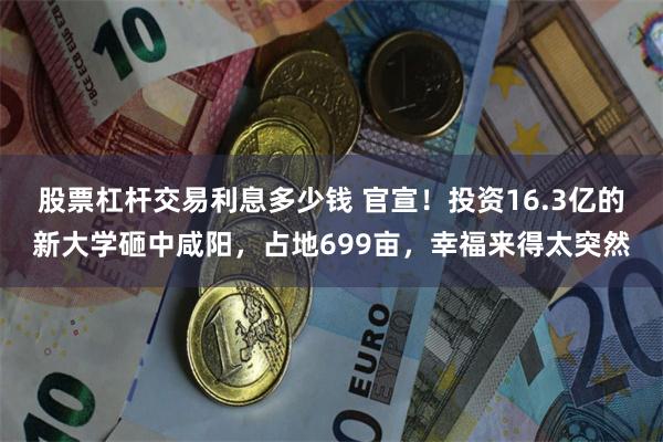 股票杠杆交易利息多少钱 官宣！投资16.3亿的新大学砸中咸阳，占地699亩，幸福来得太突然