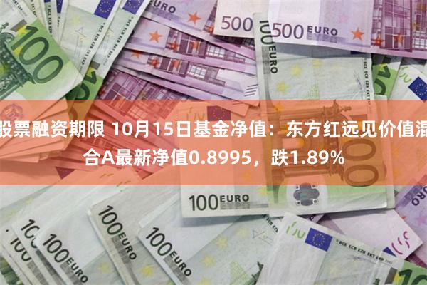 股票融资期限 10月15日基金净值：东方红远见价值混合A最新净值0.8995，跌1.89%