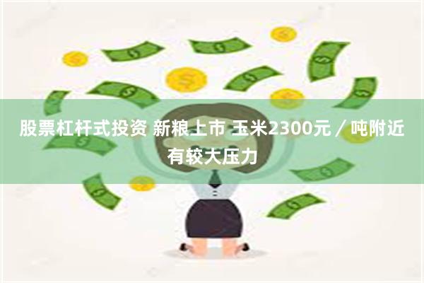 股票杠杆式投资 新粮上市 玉米2300元／吨附近有较大压力