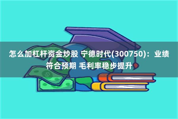 怎么加杠杆资金炒股 宁德时代(300750)：业绩符合预期 毛利率稳步提升