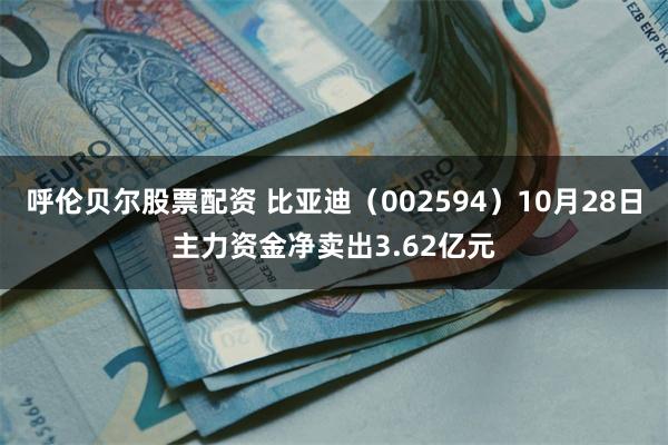 呼伦贝尔股票配资 比亚迪（002594）10月28日主力资金净卖出3.62亿元