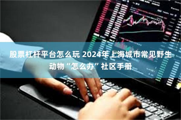 股票杠杆平台怎么玩 2024年上海城市常见野生动物“怎么办”社区手册