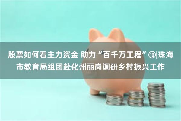 股票如何看主力资金 助力“百千万工程”⑩|珠海市教育局组团赴化州丽岗调研乡村振兴工作