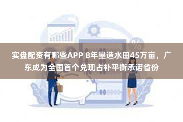 实盘配资有哪些APP 8年垦造水田45万亩，广东成为全国首个兑现占补平衡承诺省份