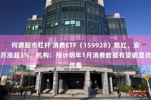 何谓股市杠杆 消费ETF（159928）飘红，安迪苏涨超3%，机构：预计明年1月消费数据有望明显改善