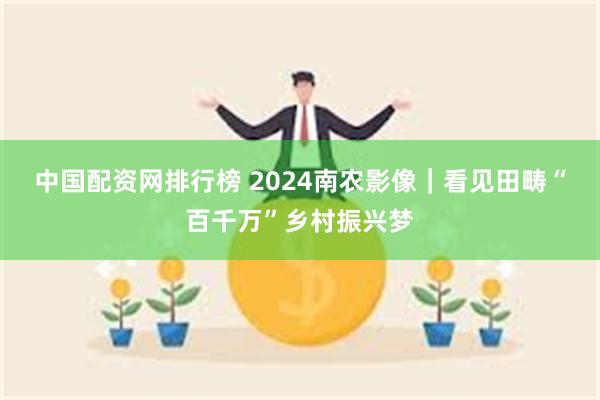 中国配资网排行榜 2024南农影像｜看见田畴“百千万”乡村振兴梦