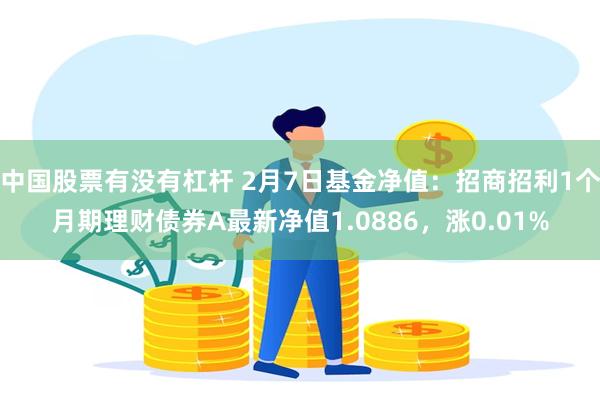 中国股票有没有杠杆 2月7日基金净值：招商招利1个月期理财债券A最新净值1.0886，涨0.01%