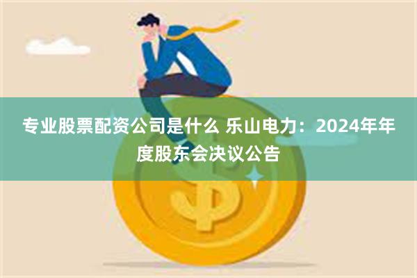 专业股票配资公司是什么 乐山电力：2024年年度股东会决议公告